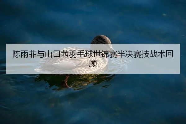 陈雨菲与山口茜羽毛球世锦赛半决赛技战术回顾